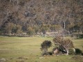 1201-1803 Namadgi (1060176)